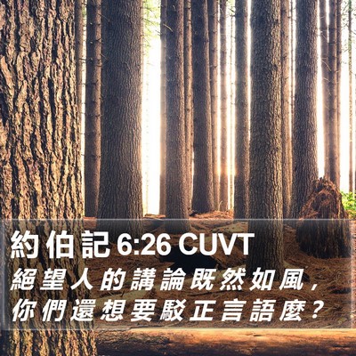 約 伯 記 6:26 CUVT Bible Verse Image