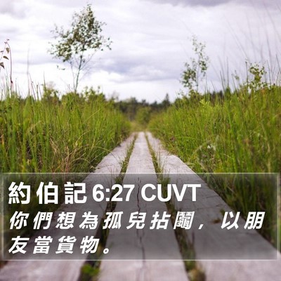 約 伯 記 6:27 CUVT Bible Verse Image
