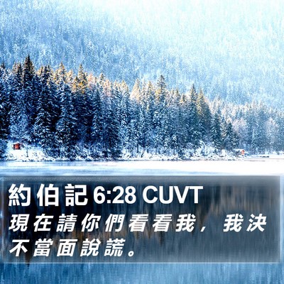 約 伯 記 6:28 CUVT Bible Verse Image