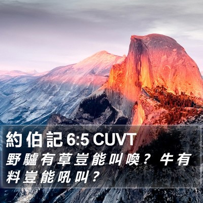 約 伯 記 6:5 CUVT Bible Verse Image