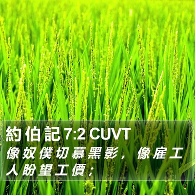 約 伯 記 7:2 CUVT Bible Verse Image