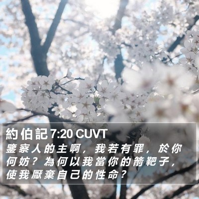 約 伯 記 7:20 CUVT Bible Verse Image