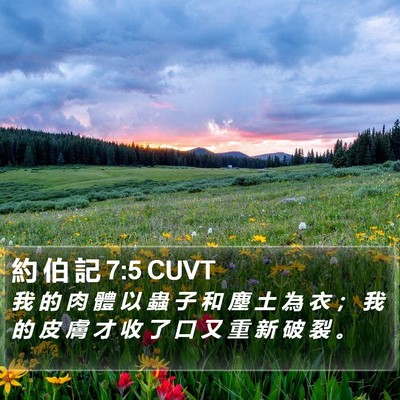 約 伯 記 7:5 CUVT Bible Verse Image