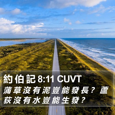 約 伯 記 8:11 CUVT Bible Verse Image