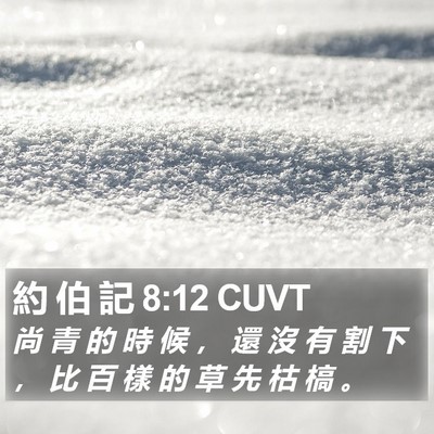 約 伯 記 8:12 CUVT Bible Verse Image