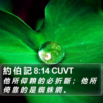 約 伯 記 8:14 CUVT Bible Verse Image