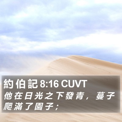 約 伯 記 8:16 CUVT Bible Verse Image