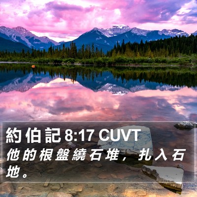 約 伯 記 8:17 CUVT Bible Verse Image