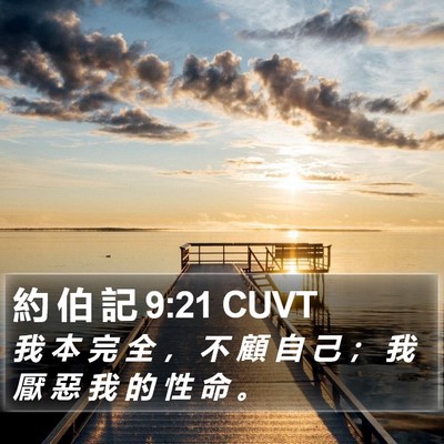 約 伯 記 9:21 CUVT Bible Verse Image