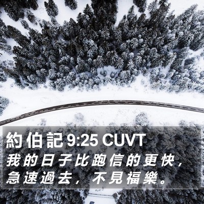約 伯 記 9:25 CUVT Bible Verse Image