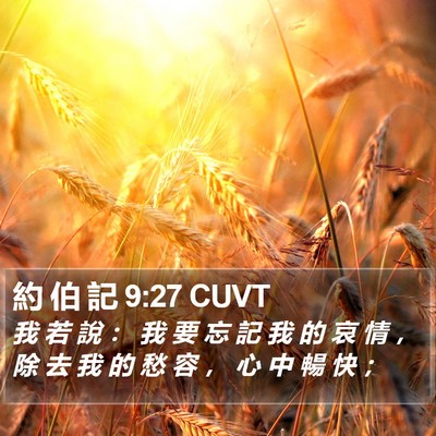約 伯 記 9:27 CUVT Bible Verse Image