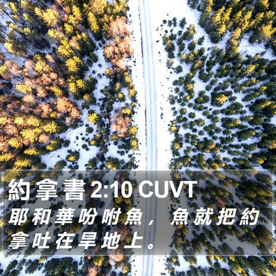 約 拿 書 2:10 CUVT Bible Verse Image