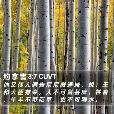 約 拿 書 3:7 CUVT Bible Verse Image