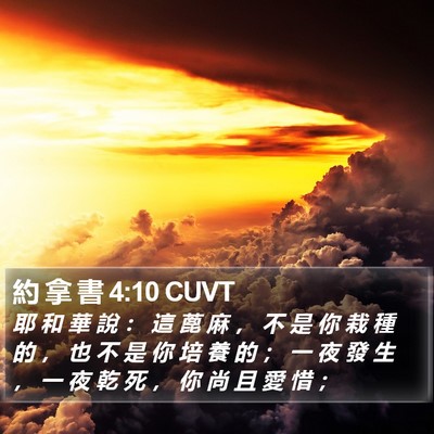 約 拿 書 4:10 CUVT Bible Verse Image