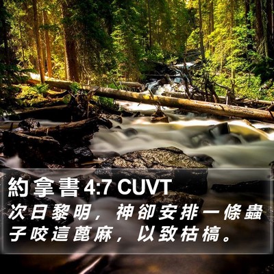 約 拿 書 4:7 CUVT Bible Verse Image