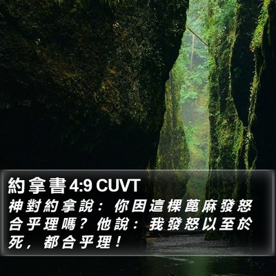 約 拿 書 4:9 CUVT Bible Verse Image