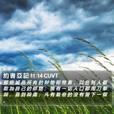 約 書 亞 記 11:14 CUVT Bible Verse Image