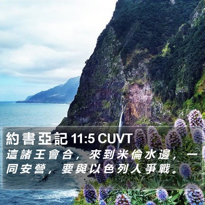 約 書 亞 記 11:5 CUVT Bible Verse Image