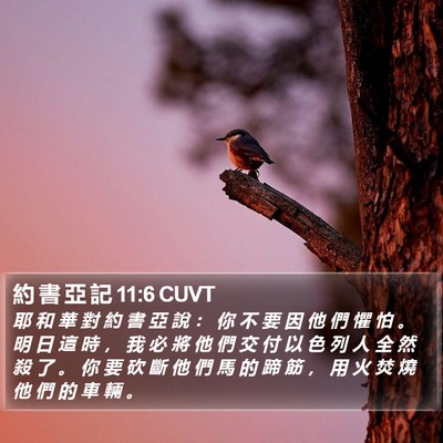 約 書 亞 記 11:6 CUVT Bible Verse Image