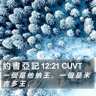 約 書 亞 記 12:21 CUVT Bible Verse Image