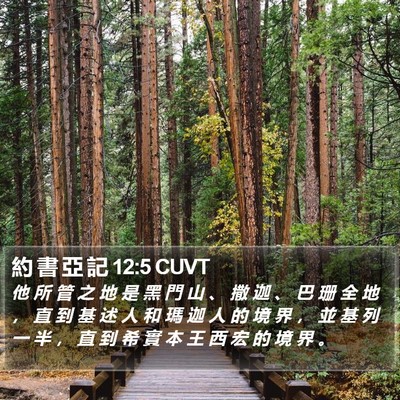 約 書 亞 記 12:5 CUVT Bible Verse Image