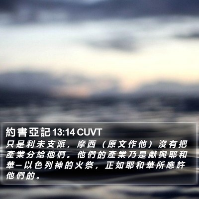 約 書 亞 記 13:14 CUVT Bible Verse Image