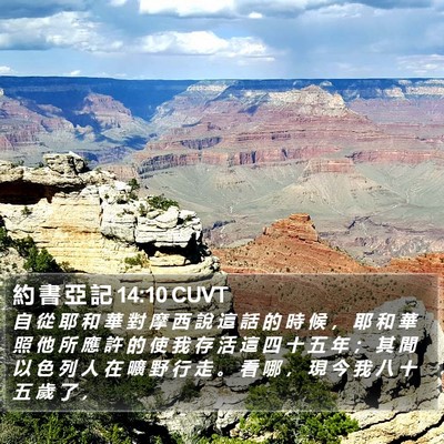 約 書 亞 記 14:10 CUVT Bible Verse Image