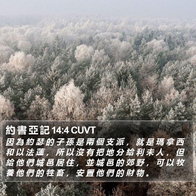 約 書 亞 記 14:4 CUVT Bible Verse Image