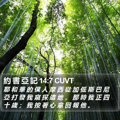 約 書 亞 記 14:7 CUVT Bible Verse Image