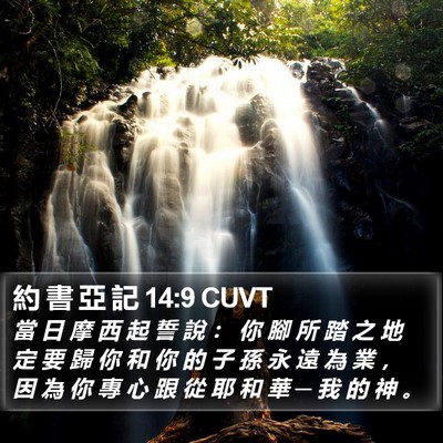 約 書 亞 記 14:9 CUVT Bible Verse Image