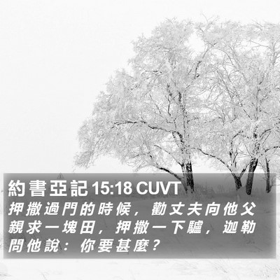 約 書 亞 記 15:18 CUVT Bible Verse Image