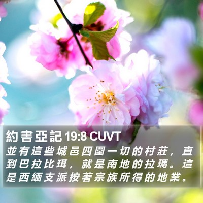 約 書 亞 記 19:8 CUVT Bible Verse Image