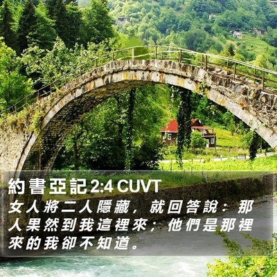 約 書 亞 記 2:4 CUVT Bible Verse Image
