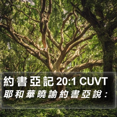 約 書 亞 記 20:1 CUVT Bible Verse Image