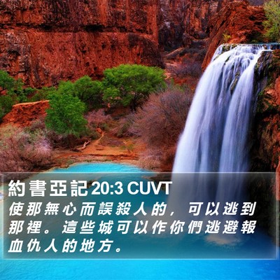 約 書 亞 記 20:3 CUVT Bible Verse Image