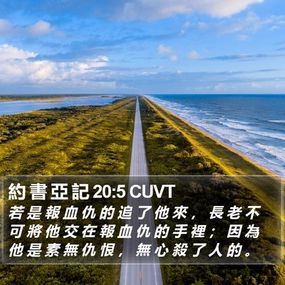 約 書 亞 記 20:5 CUVT Bible Verse Image