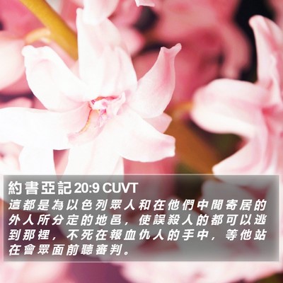 約 書 亞 記 20:9 CUVT Bible Verse Image