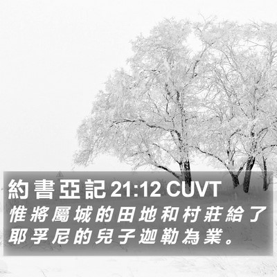 約 書 亞 記 21:12 CUVT Bible Verse Image
