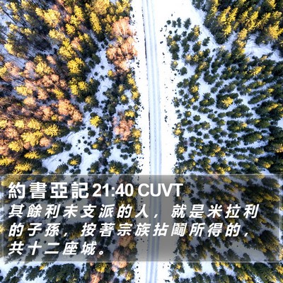 約 書 亞 記 21:40 CUVT Bible Verse Image