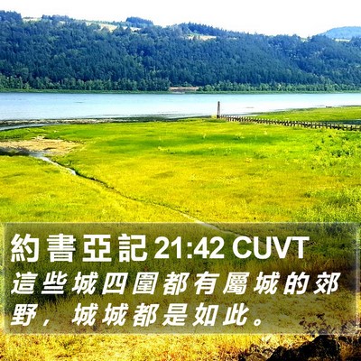 約 書 亞 記 21:42 CUVT Bible Verse Image
