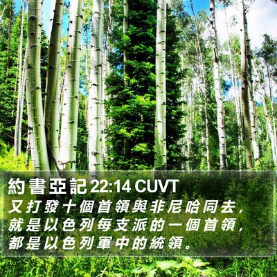 約 書 亞 記 22:14 CUVT Bible Verse Image