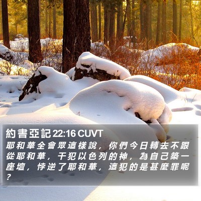 約 書 亞 記 22:16 CUVT Bible Verse Image