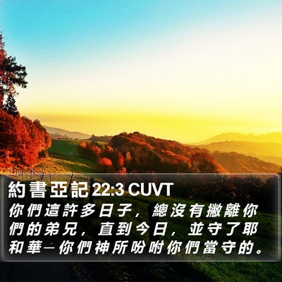 約 書 亞 記 22:3 CUVT Bible Verse Image