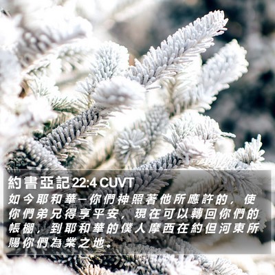 約 書 亞 記 22:4 CUVT Bible Verse Image