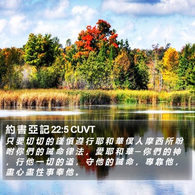 約 書 亞 記 22:5 CUVT Bible Verse Image