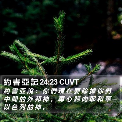 約 書 亞 記 24:23 CUVT Bible Verse Image
