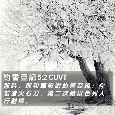約 書 亞 記 5:2 CUVT Bible Verse Image