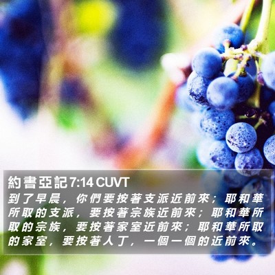 約 書 亞 記 7:14 CUVT Bible Verse Image