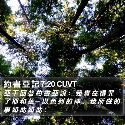 約 書 亞 記 7:20 CUVT Bible Verse Image
