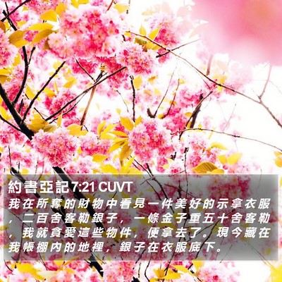 約 書 亞 記 7:21 CUVT Bible Verse Image